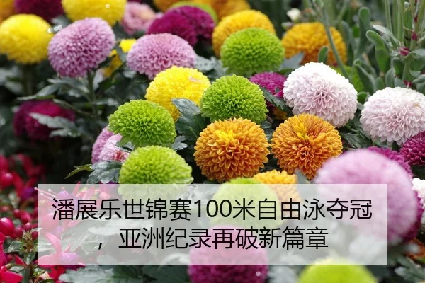 潘展乐世锦赛100米自由泳夺冠，亚洲纪录再破新篇章